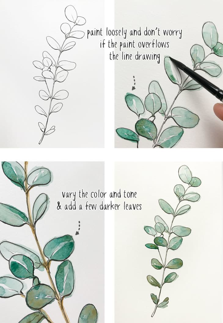 beginners line and wash eucalyptus painting