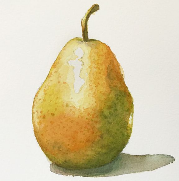 How to Paint a Pear in Watercolor A Beginners Tutorial Watercolor Affair