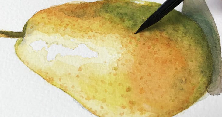 How to Paint a Pear in Watercolor