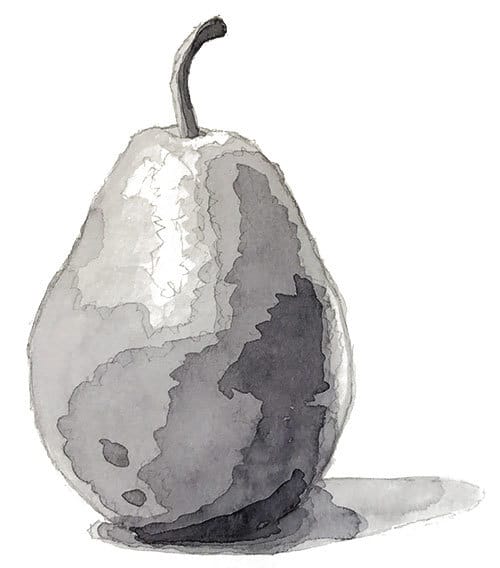 watercolor value study of a pear