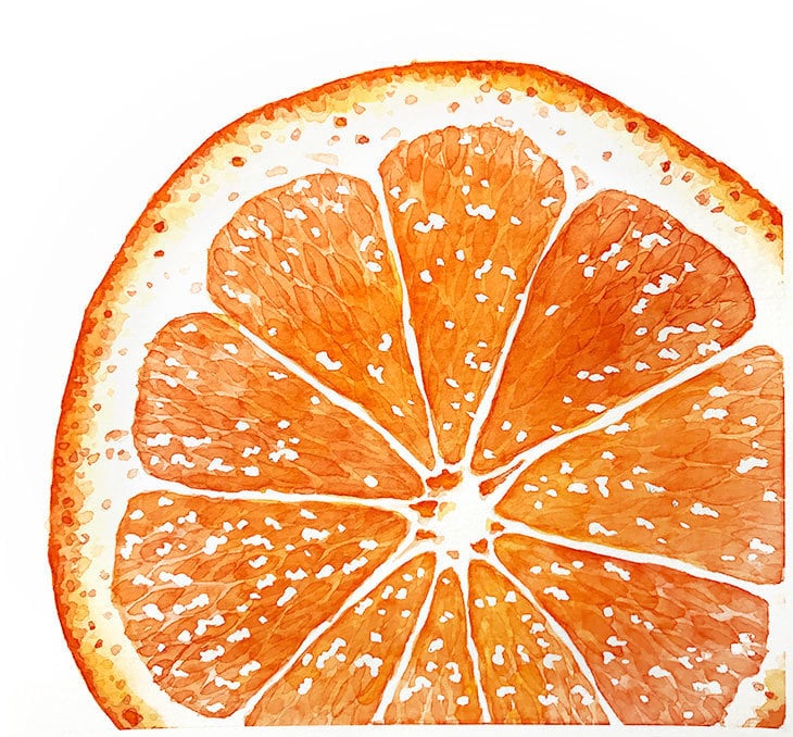 macro-view-watercolor-orange macro view watercolor orange