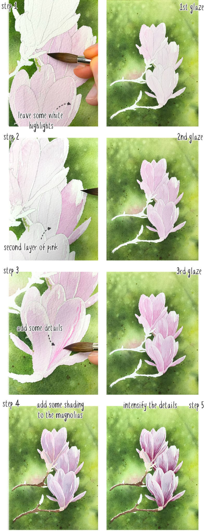 watercolor magnolia wet on dry flowers step by step