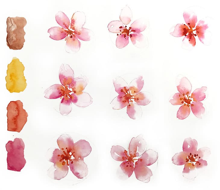 simplified watercolor cherry blossoms