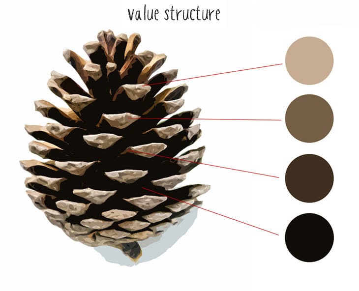 pine cone value structure