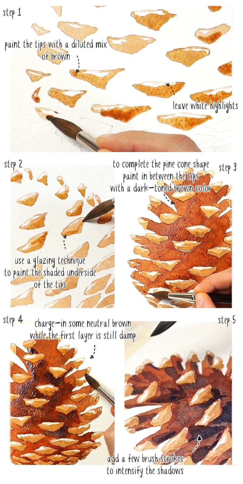 step by step watercolor pine cones painting