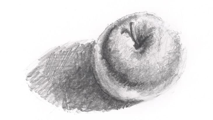 apple value study monochrome pencil sketch