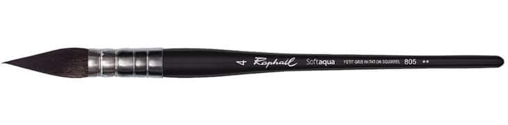 raphael softaqua mop brush