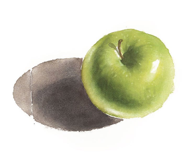 realistic apple watercolor painting