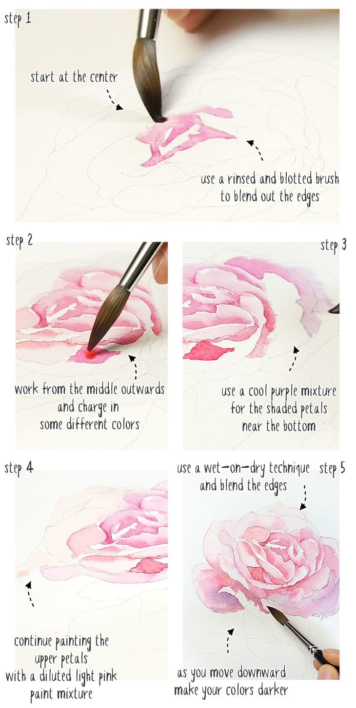 watercolor rose step by step stage 01