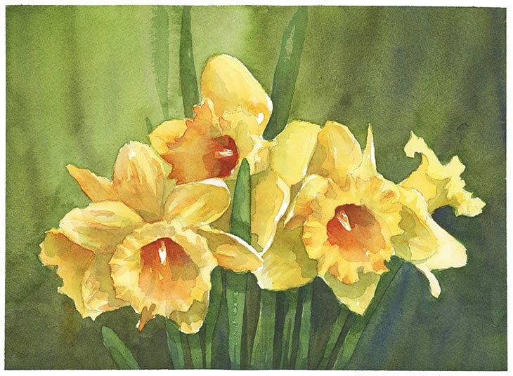 watercolor daffodils composition