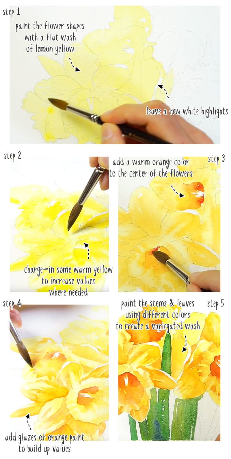 watercolor daffodils step by step tutorial stage 01