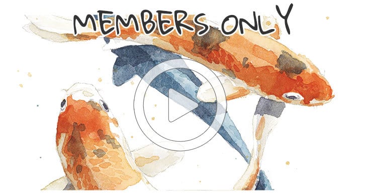 Members Only Watercolor Koi Fish