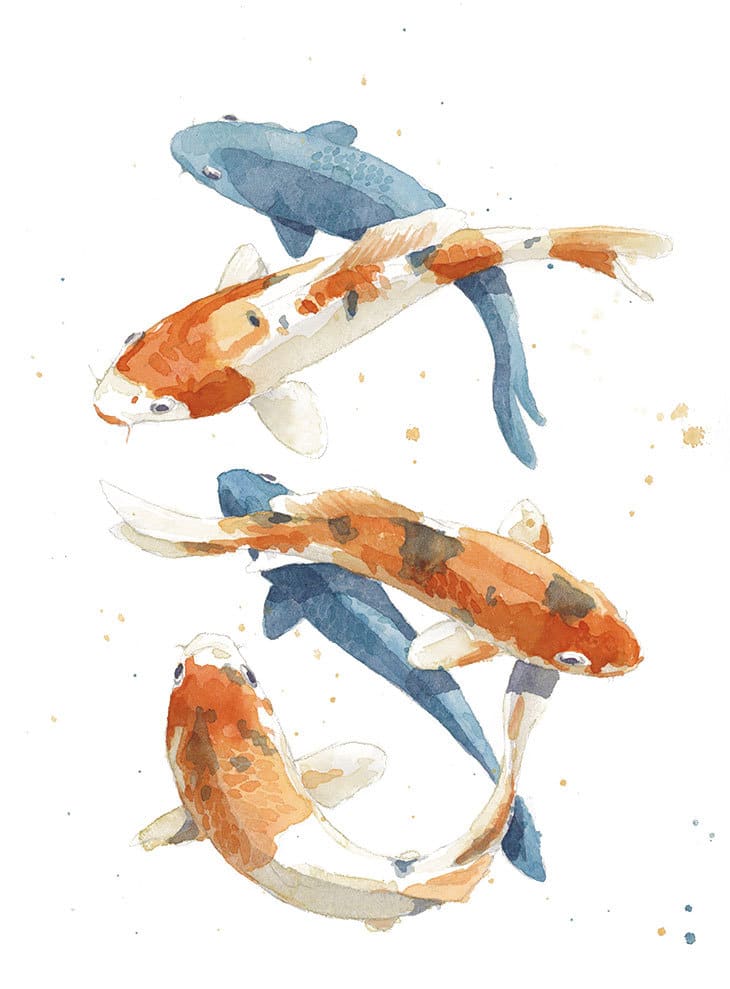 Easy Watercolor Koi Fish (Step by Step Tutorial) - Watercolor Affair