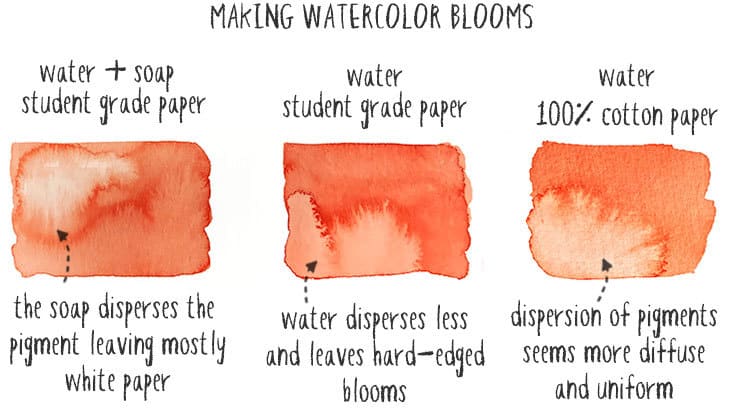 how to make watercolor blooms