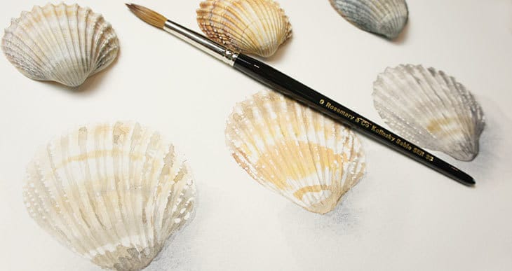 painting watercolor seashells