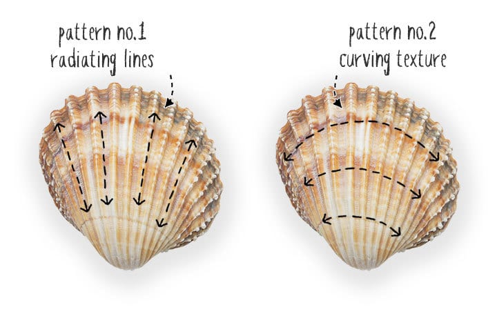 shell patterns