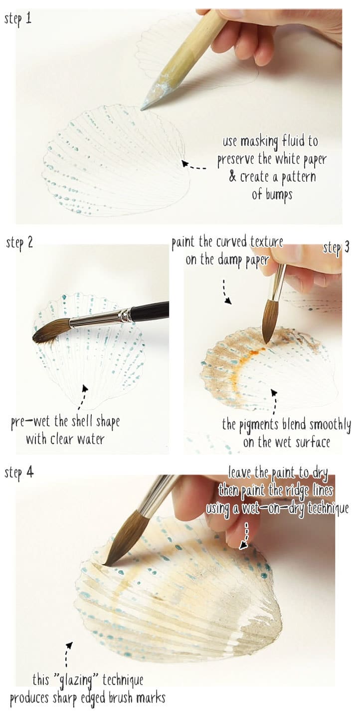 watercolor shells step by step stage 01