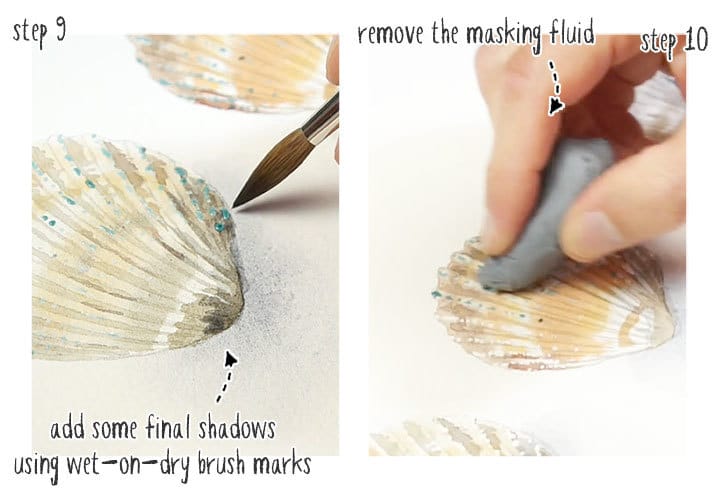 step by step watercolor seashells stage 3