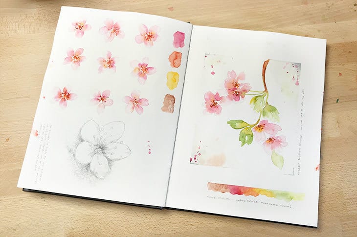 Sketchbook Wandering : Watercolor  Watercolor art journal, Sketch