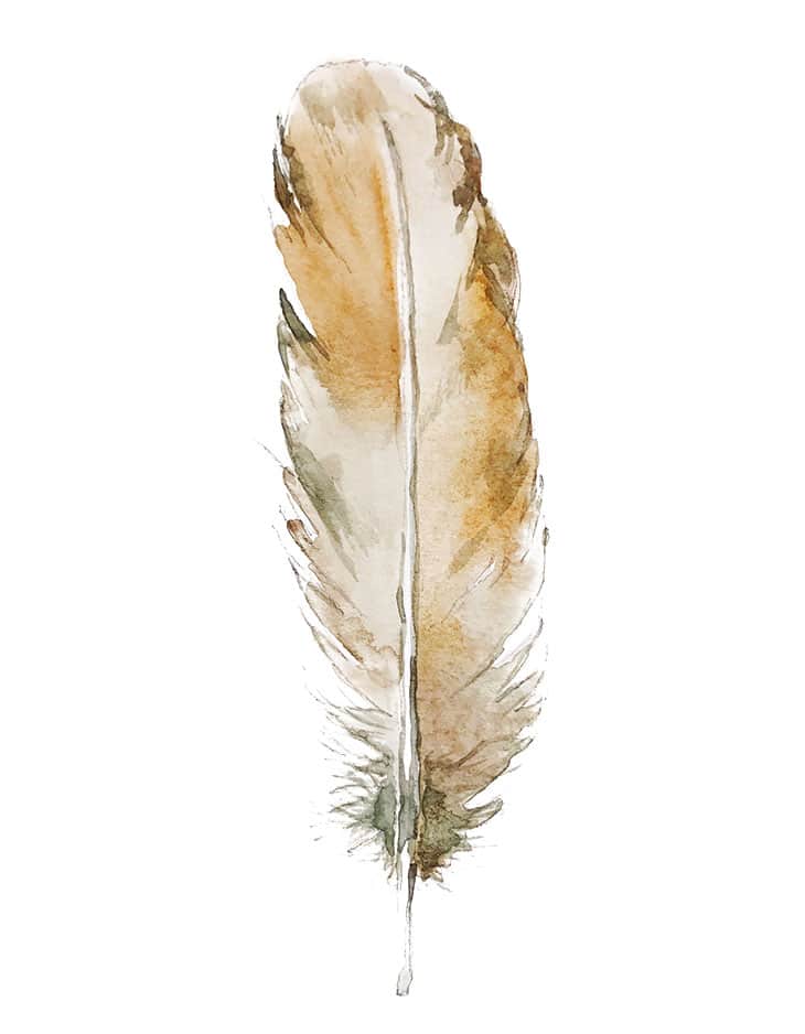 easy watercolor feather