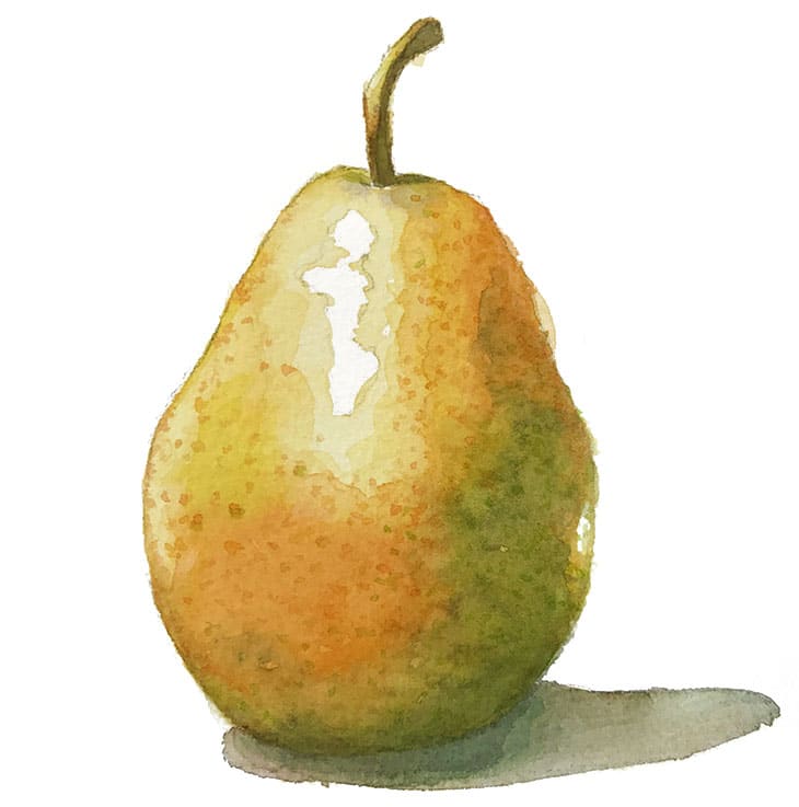 easy watercolor pear