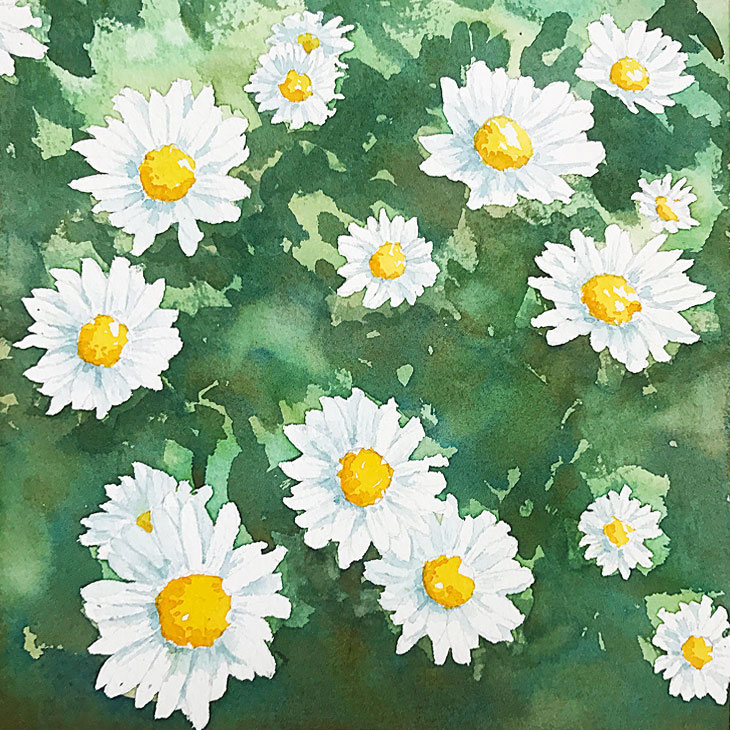 watercolor daisy painting