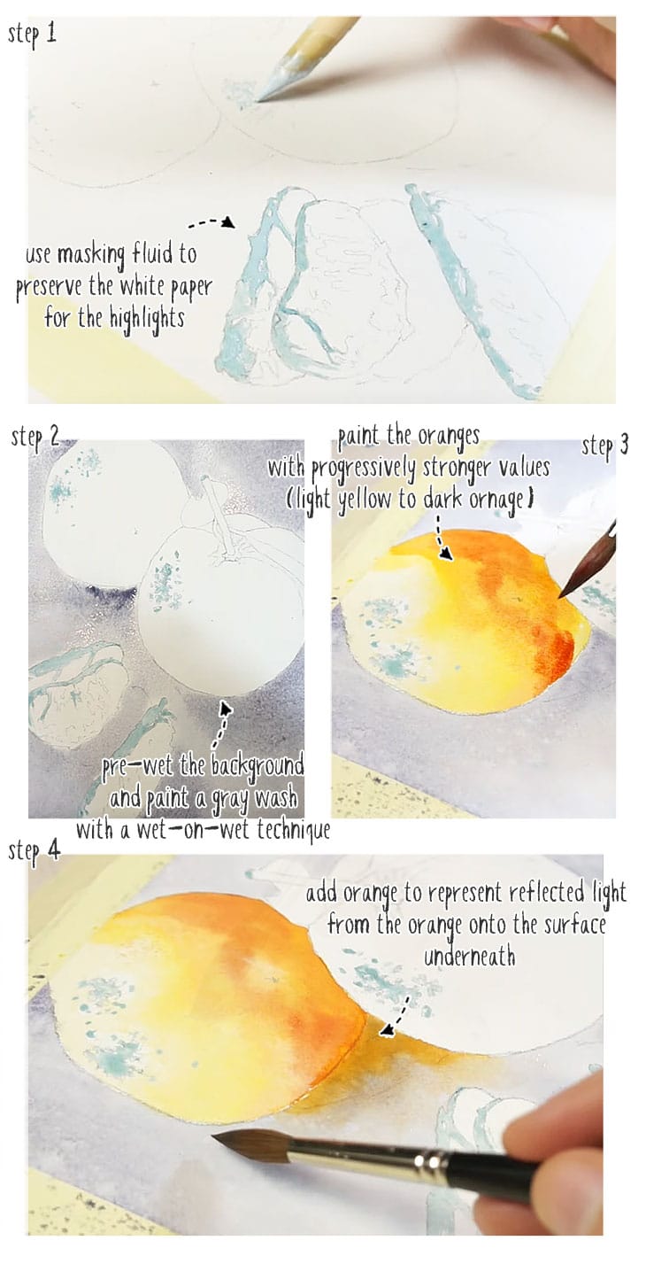 watercolor still life step by step stage 01