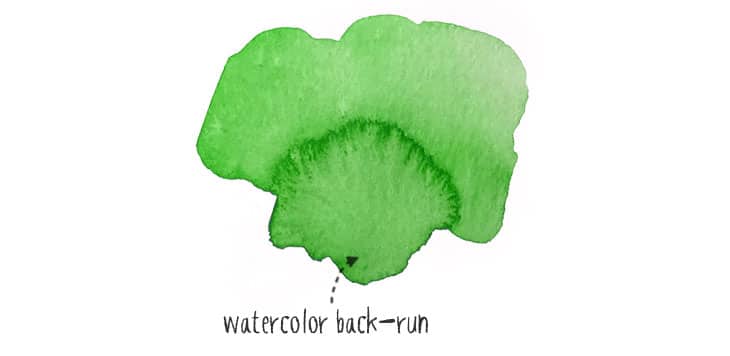 watercolor back run