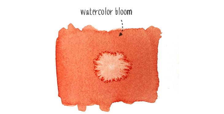 a watercolor bloom