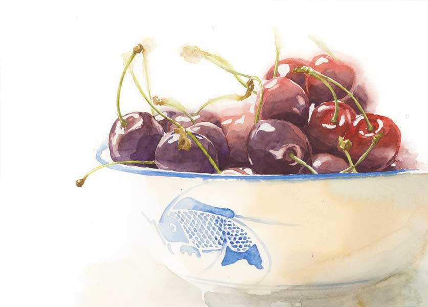 watercolor cherries final painting