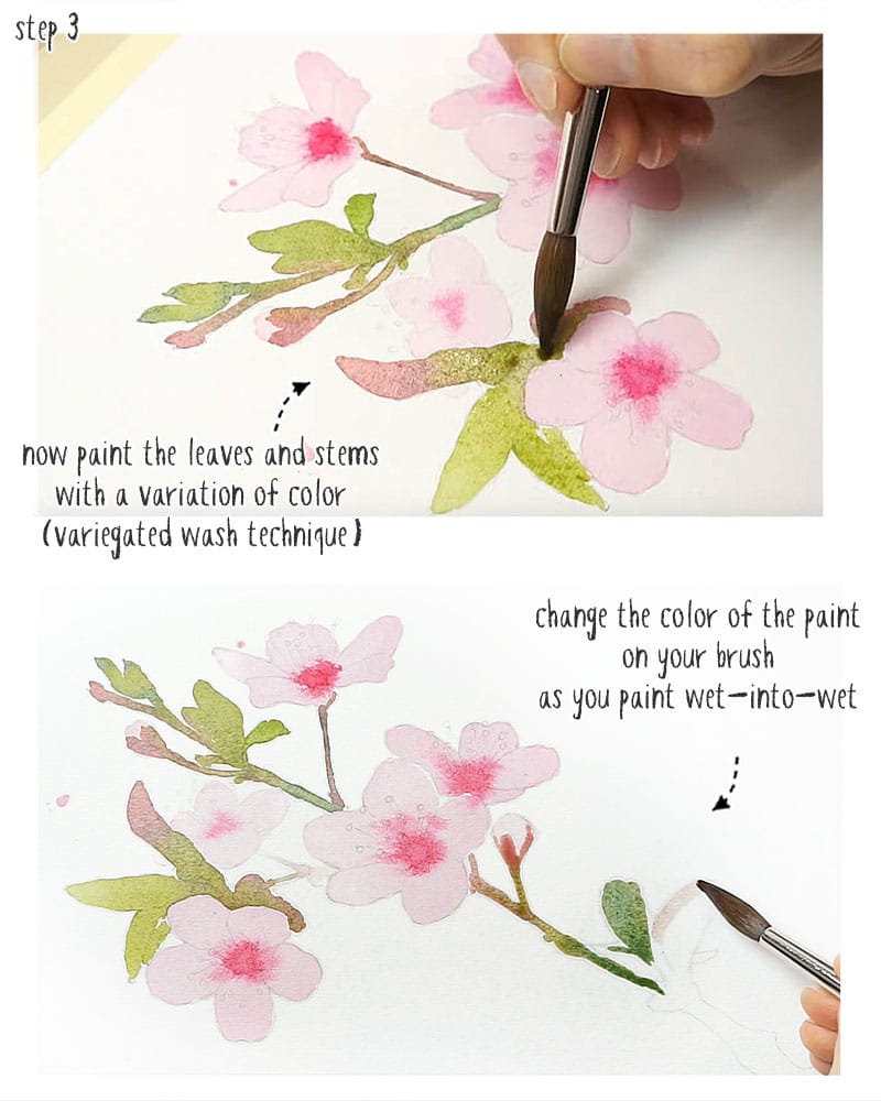 Watercolor & Cherry Blossoms, Video