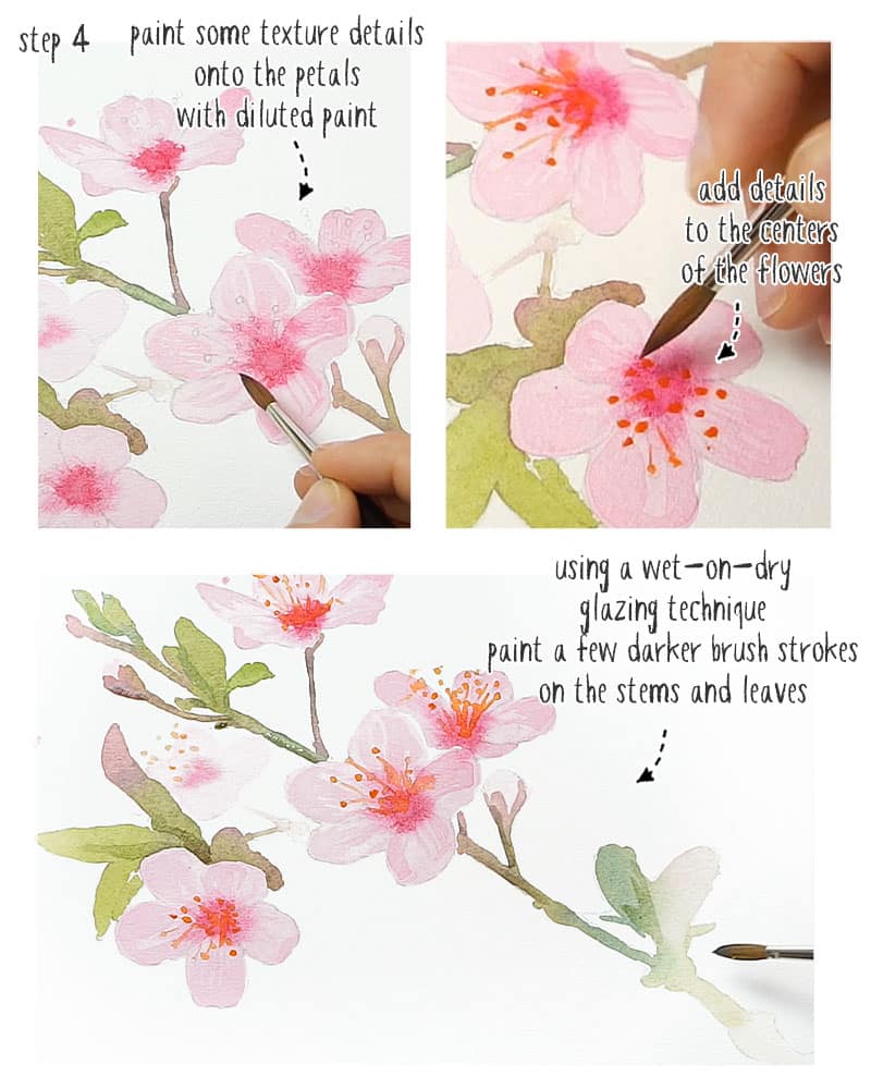 watercolor cherry blossom stage 03