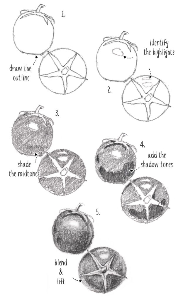 the five steps of drawing