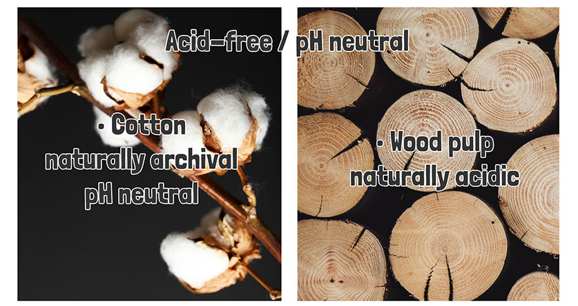 acid free ph neutral paper property