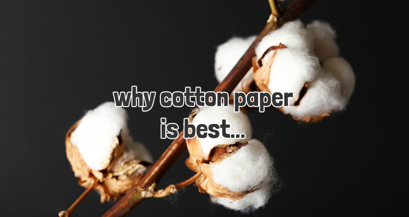 why cotton paper is best