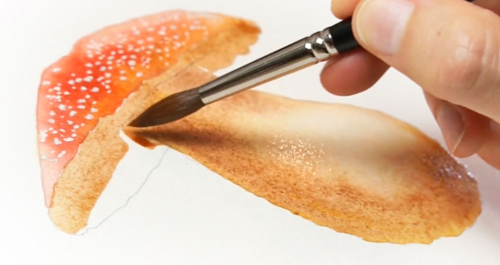 lesson how to paint a mushroom in watercolor