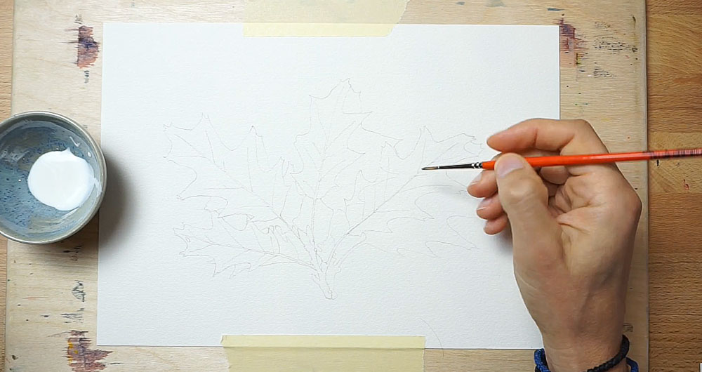 masking the oak leaves