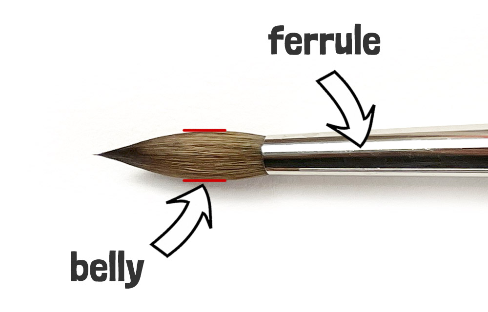 natural brush belly