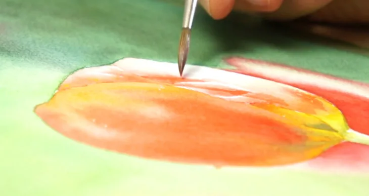 Image is not available