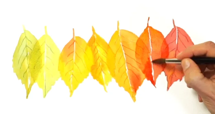 Image is not available