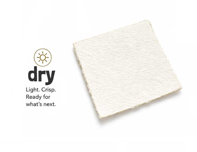 dry paper stage