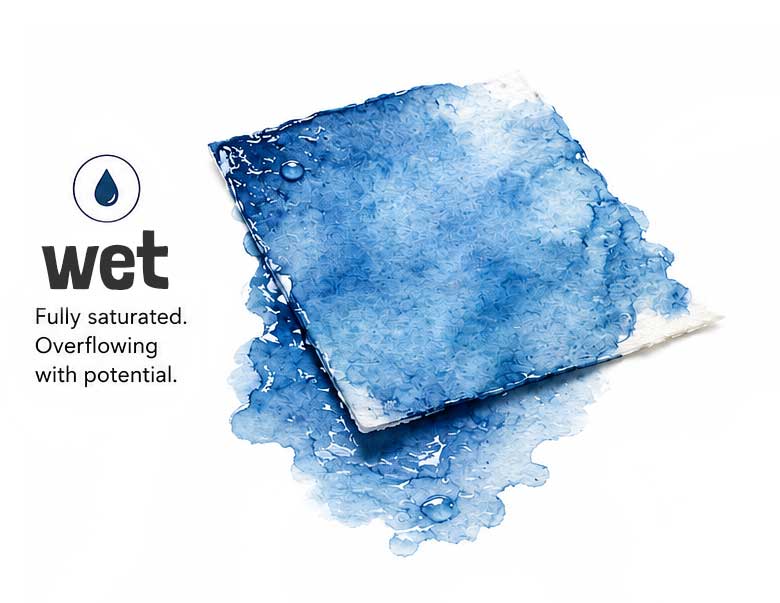 wet stage of paper